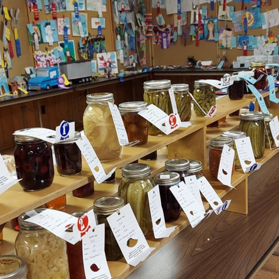 Central St. Louis County Fair Meadowlands · Minnesota